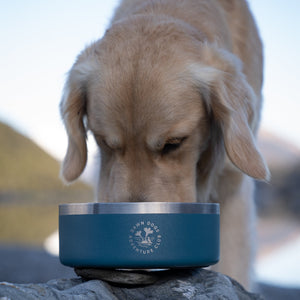 Dog drinking from a blue bowl on a rock with a blurred natural background